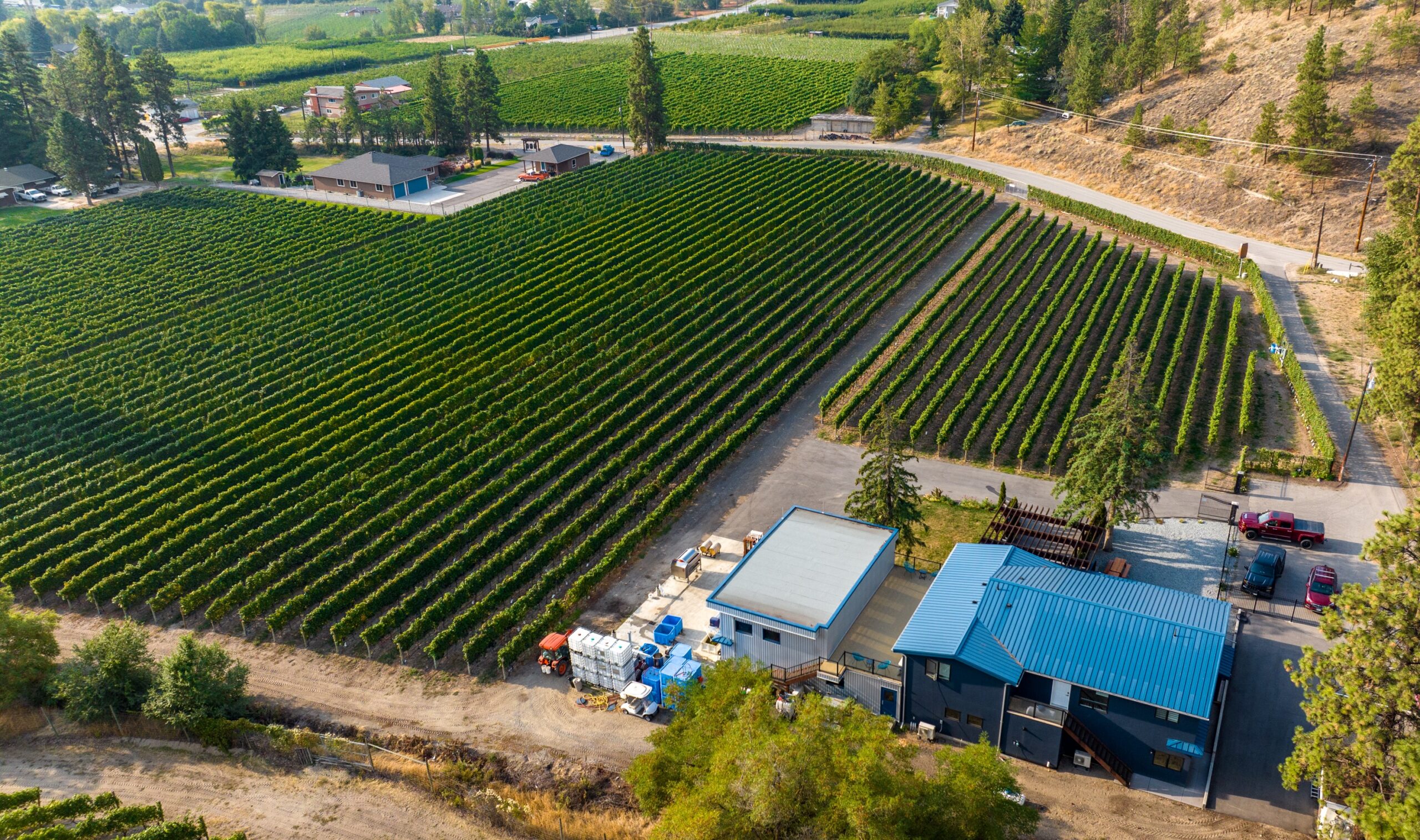 Aerial view of a vineyard with lush grapevines, a blue building, and surrounding greenery in a rural setting.